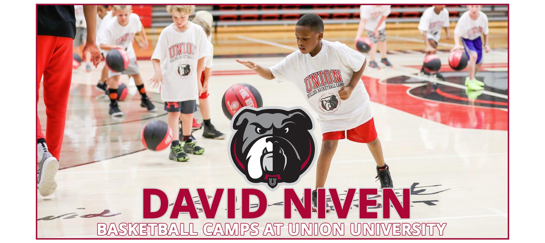 David Niven Basketball Camps